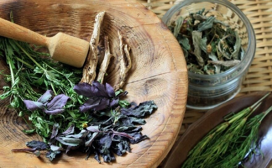 Healing plants for the treatment of diabetes